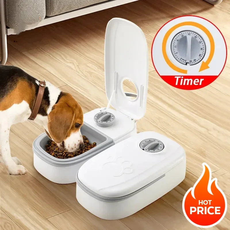 Chó ăn từ khay tự động màu trắng có hẹn giờ trên sàn gỗ, biểu tượng "Hot Price" màu đỏ.