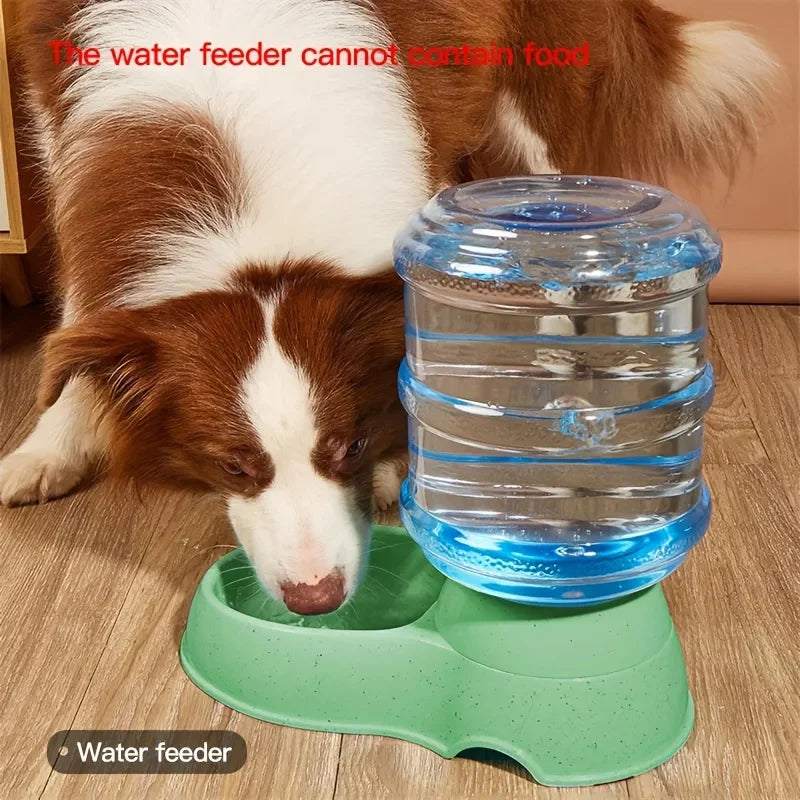 Pet dog and cat water feeding and feeder  can be large capacity automatic water storage water feeder  and feeder - Daisan Mart