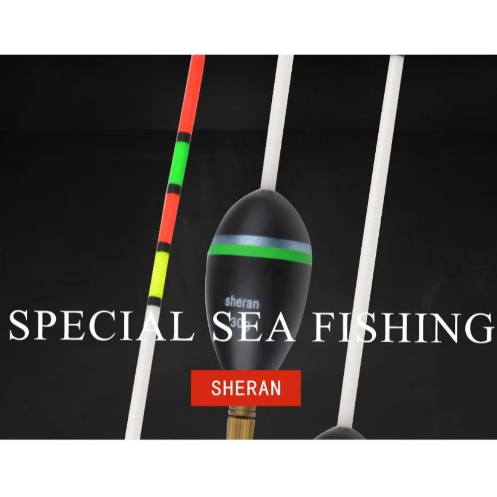 Bộ 2 Phao Câu Cá Siêu Tinh Xảo Cho Hồ Sông 2025