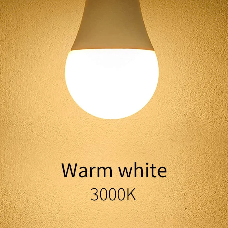 Set of 5 12V Multi-Power Indoor LED Bulbs
