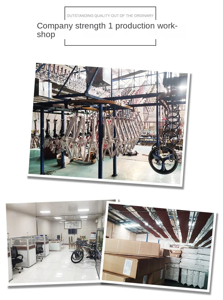 Aro Velo 29 - Xe Đạp Đua Nam Khung Thép Magiê - Daisan Mart