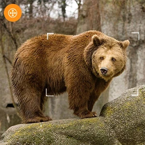 Camera Săn Bắn Mini 4K HD Chống Nước Quan Sát Đêm