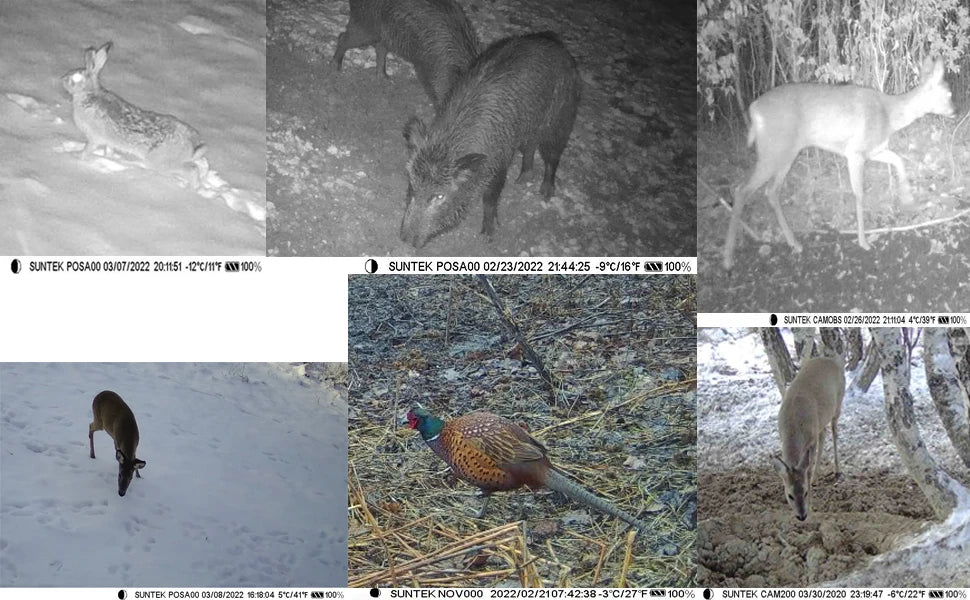 HC910PRO Night Hunting Camera - Stream 4K 30MP 30fps