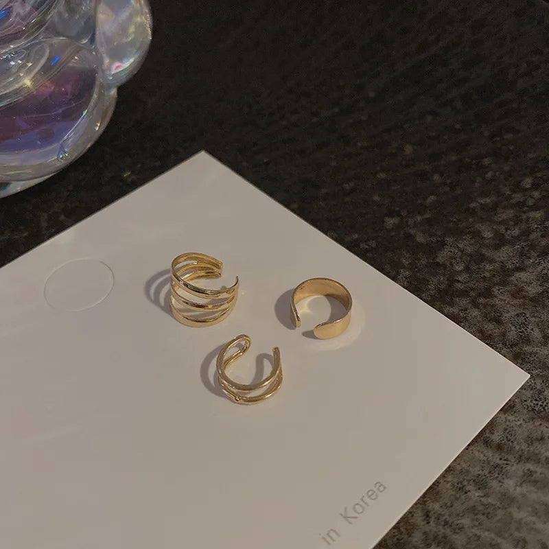 Simple, Unique, Creative, Unisex Silver Leaf Clip Earrings