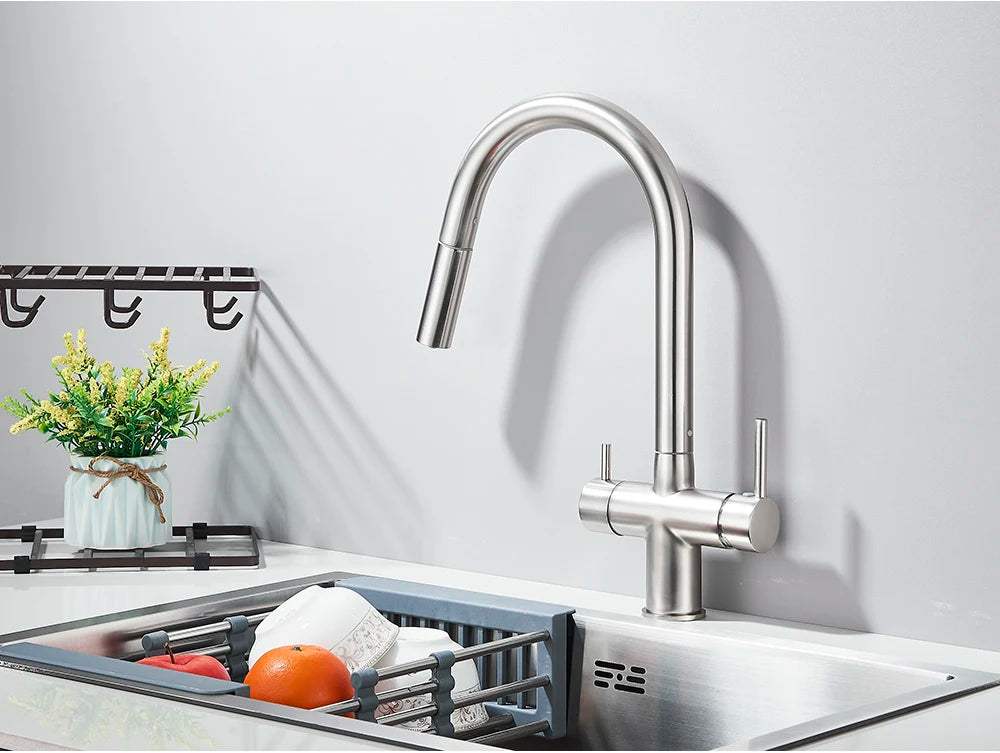 2-Mode Swivel Gold Brass Water Filter Kitchen Faucet