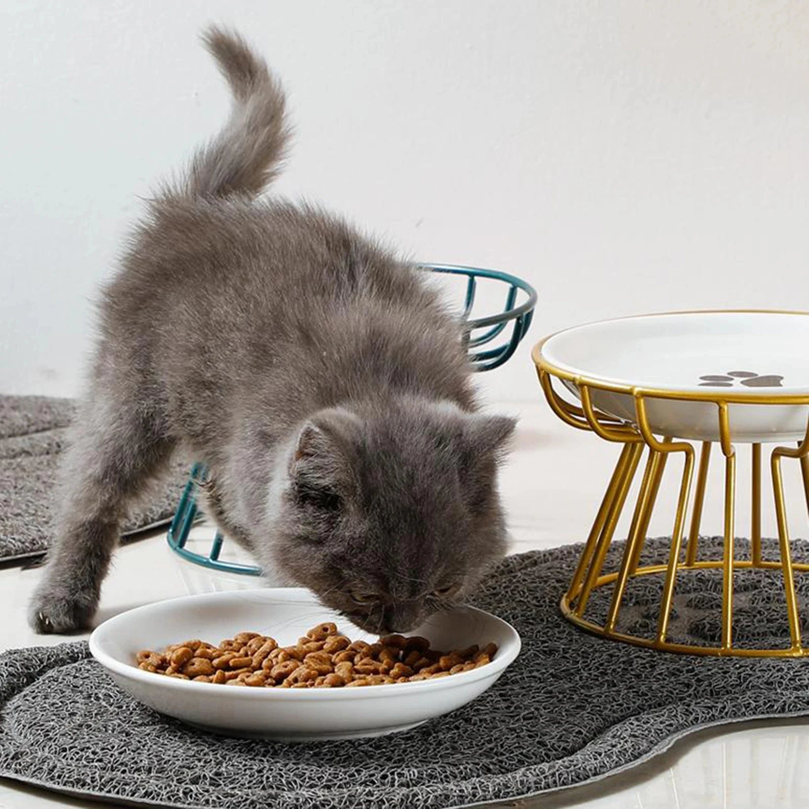 Elevated Ceramic Bowl for Convenient Eating and Drinking of Dogs and Cats