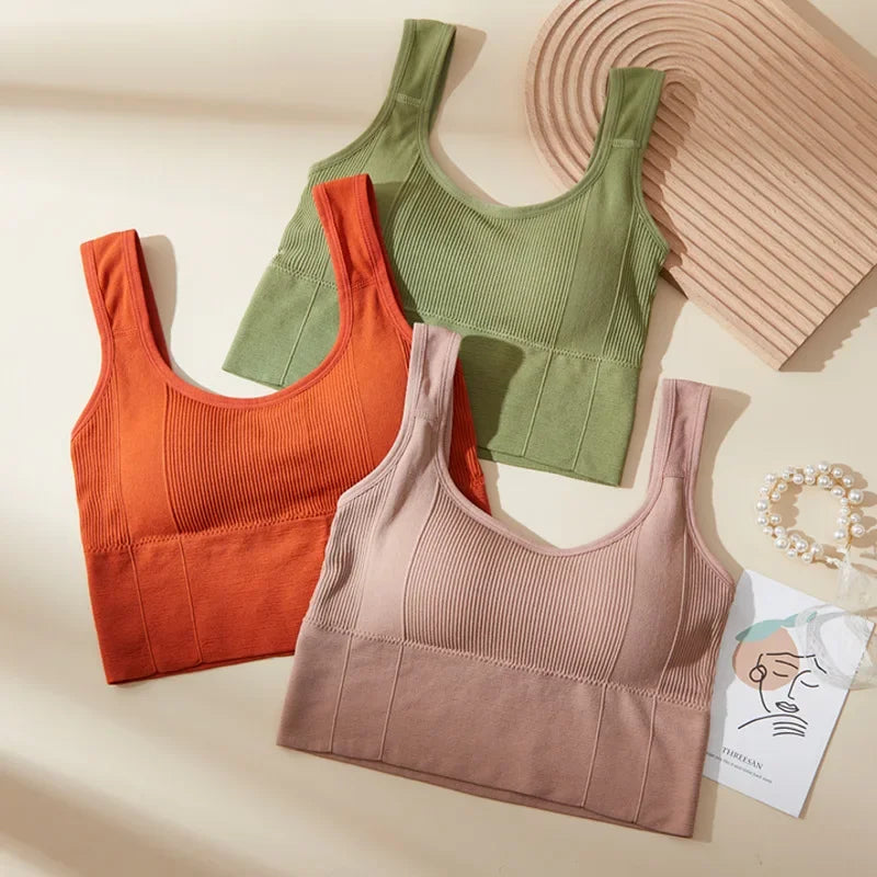 Áo Bra Thể Thao Nữ Chống Mồ Hôi & Đệm Lót Không Đường May - Daisan Mart