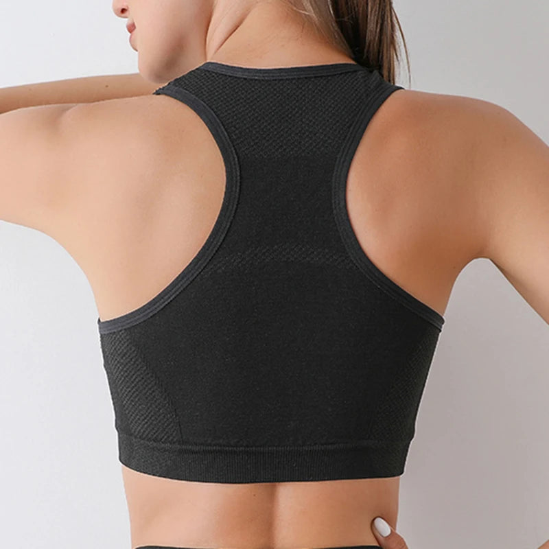 Bra Thể Thao Nữ Co Giãn Tập Gym Yoga Đệm Eo êm - Daisan Mart