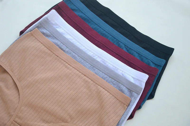 Quần Lót Nữ Cotton Cạp Cao Thoáng Mát Size Lớn 6 Cái