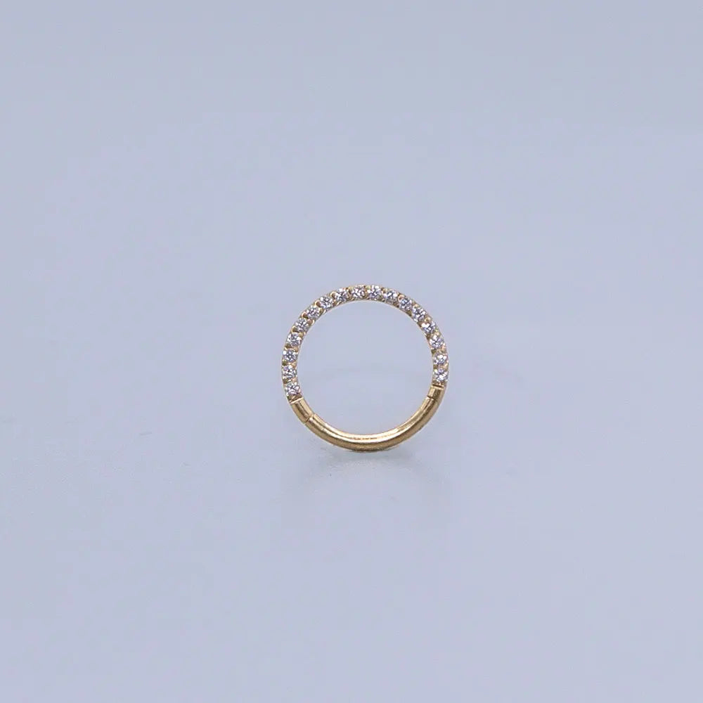 Bộ Trang Sức Titan Cao Cấp - Hoa Tai & Nhẫn Mũi