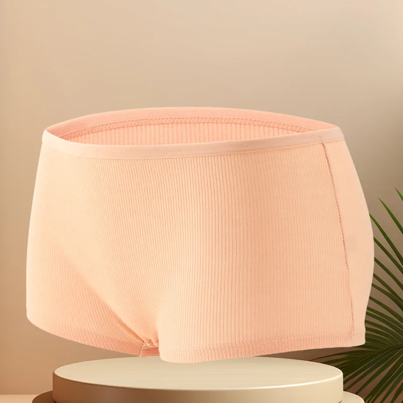 Women's Seamless Cotton Comfort Panties S-XL