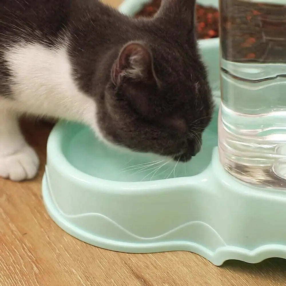 3.8L Automatic Pet Feeder Large Cat Dog Food Dispenser Water Fountain Drink Bowl - Daisan Mart