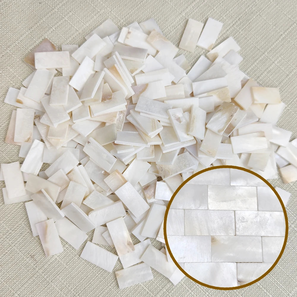 50 Viên Gạch Mosaic Vỏ Trai Trắng Hình Quạt DIY - Daisan Mart