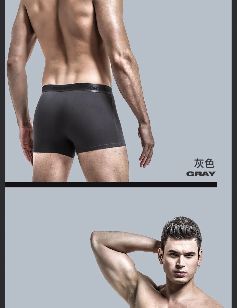 Modal Men's Underwear, Push-up Pad, Cup Separator, Antibacterial