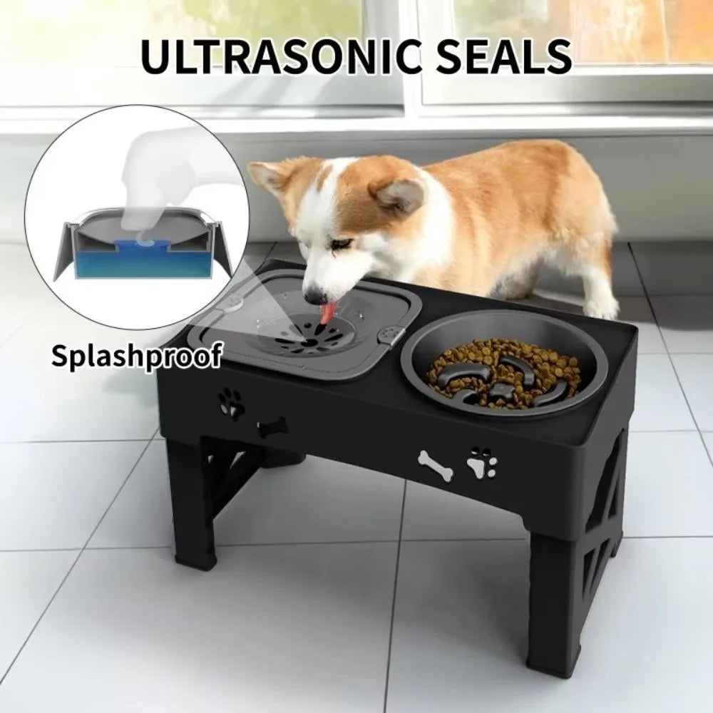 3 in 1 Pet Feeder Anti-Slip Foldable Stand Slow Feeder Bowl Anti-Spill Adjustable Height Elevated Dog Bowls - Daisan Mart