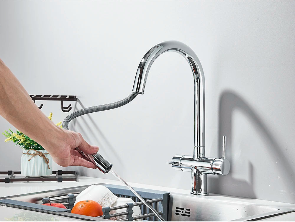 2-Mode Swivel Gold Brass Water Filter Kitchen Faucet