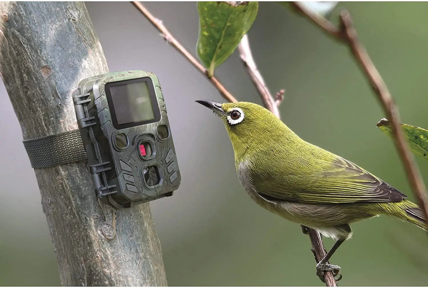 Camera Săn Bắn Mini 4K HD Chống Nước Quan Sát Đêm