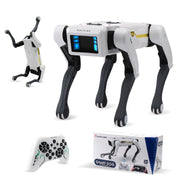Intelligent AI RC Robot Dog Voice Dialogue APP Remote Control Programming Singing Dancing Machine Dog Kids Toys - Daisan Mart