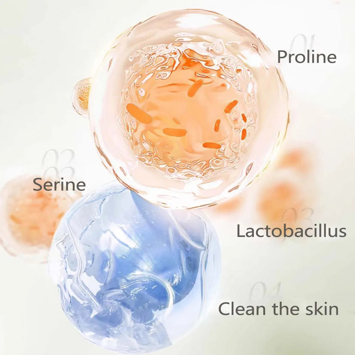 Gentle Camellia Soothing Cleanser Moisturizing, Nourishing, Oil Controlling, Refreshing And Cleansing