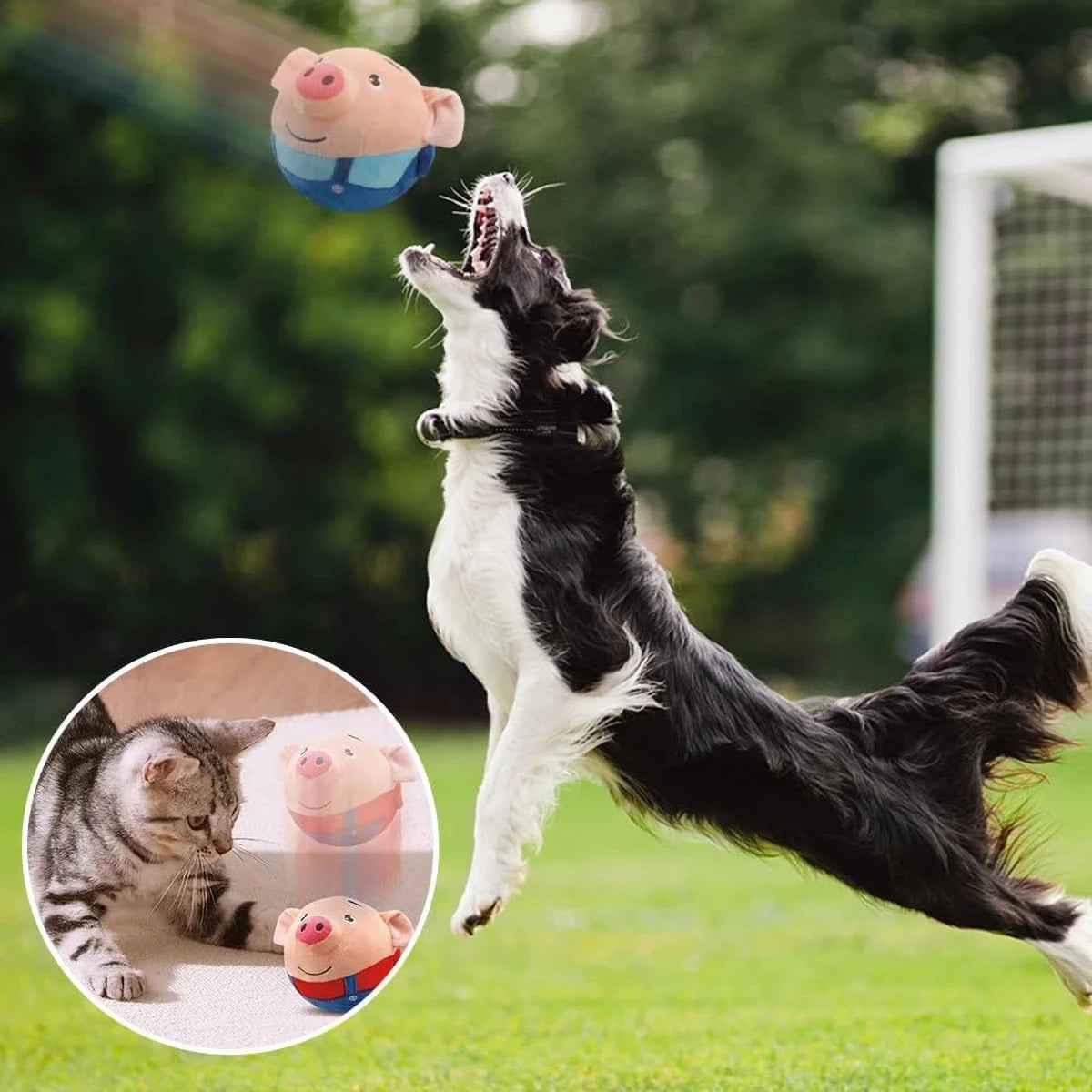 Đồ Chơi Thú Cưng Hoạt Hình An Toàn & Bền Bỉ