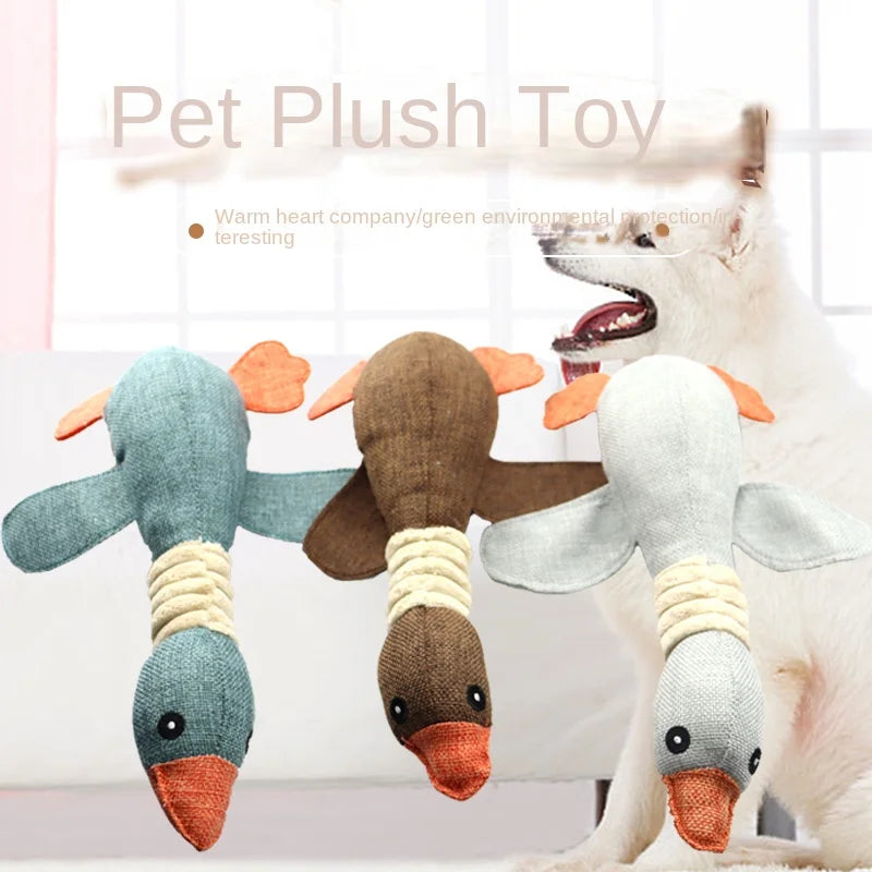 Anti-Noise &amp; Anti-Bite Pet Toys, Dental Hygiene