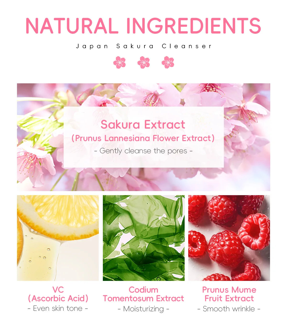 Sakura Cleanser Rich Foam Deep Clean Remove Grease Improve Oily Face Wash Cream Gentle Moisturizing Remove Blackhead CleanserSak