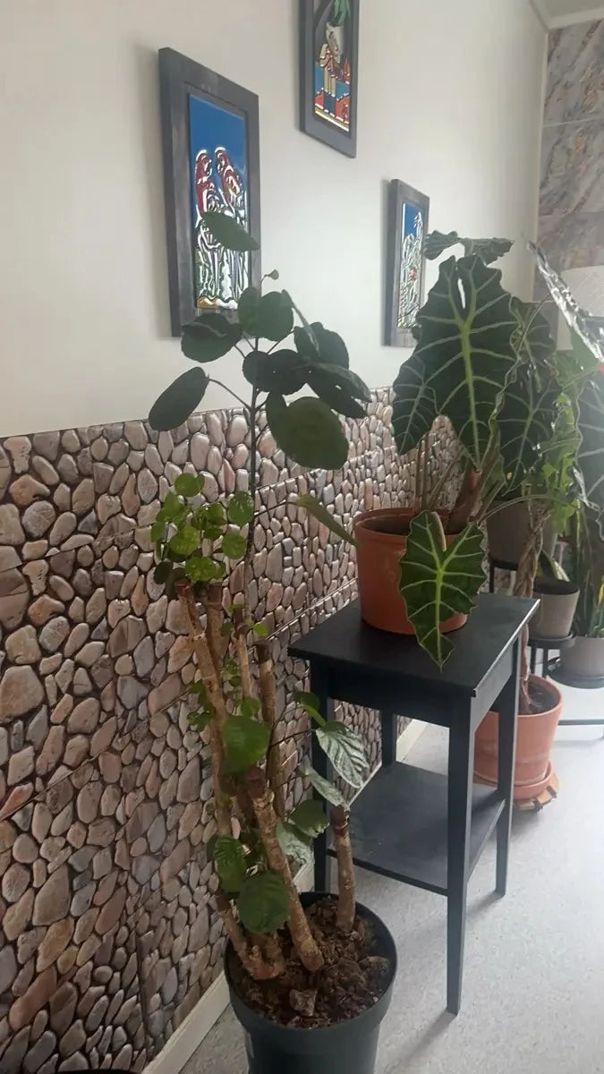 5PCS 10PCS of Pebble Pattern Self-adhesive Wall Stickers,Room Decoration,Wall Decoration,Peel And Stick,Movable Wallpaper