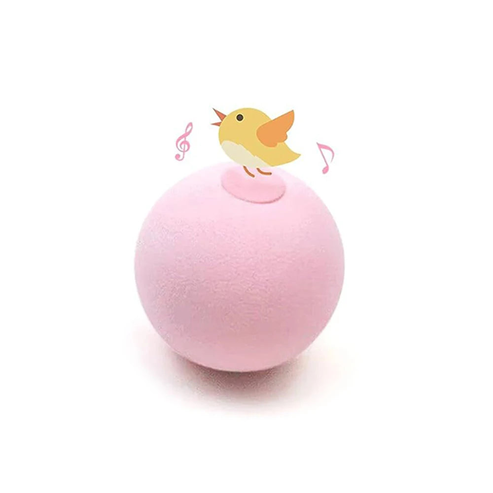 Bộ Đồ Chơi Huấn Luyện Thú Cưng Thông Minh Trong Nhà