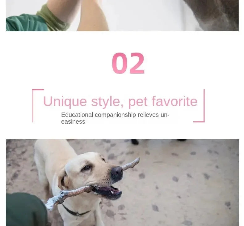 Đồ Chơi Gặm Nhấm Khủng Long Cho Chó Mèo Vui Nhộn