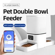 6L WIFI cat automatic feeder, double meal pet feeder, cat food dispenser that can feed 2 pets at the same time, dog feeder - Daisan Mart