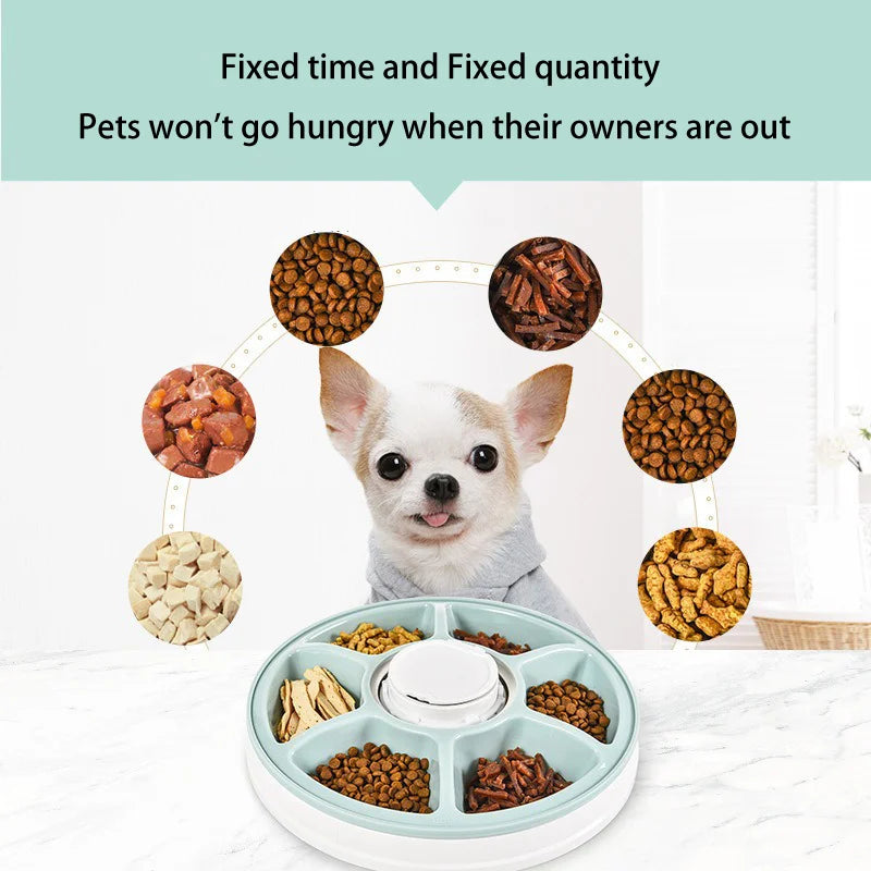 Automatic Feeder Pet Dog Round Timing Feeder 6 Meals 6 Grids Cat Dog Electric Dry Food Dispenser 24 Hours Feed Pet Supplies - Daisan Mart