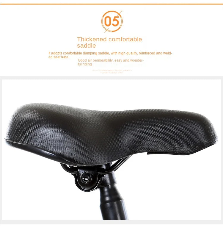 Xe Đạp Gấp 20 Inch Siêu Nhẹ Thể Thao Nam Nữ - Daisan Mart