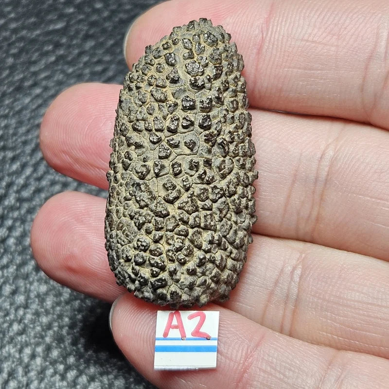 High Energy Natural Rough Stones For Collection, Healing