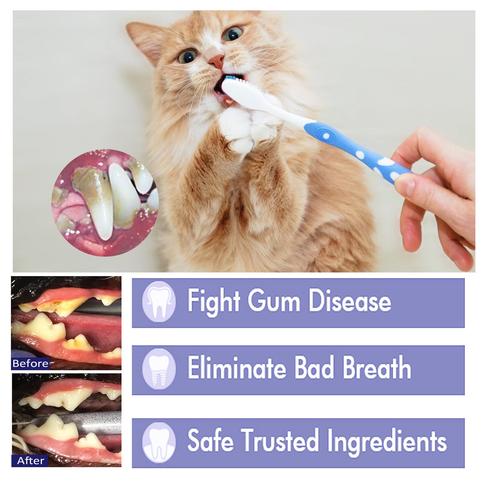Pet Toothpaste Cat Oral Cleaning Deodorant Breath Freshener Prevent Calculus Tartar Halitosis Cleaning Pet Teeth Cleaner Paste - Daisan Mart