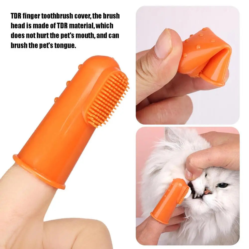 Beef Cat Toothbrush and Toothpaste Set for Teeth Cleaning Vanilla Toothpaste Finger Toothbrush Tongue Cleaning Pet Accessories - Daisan Mart