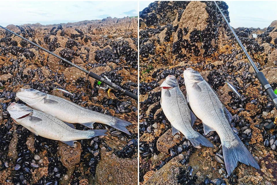 TSURINOYA 120F Ultra-long Casting Floating Minnow Saltwater Fishing Lure STINGER 120mm 19g Range 30-100cm Artificial Hard Baits