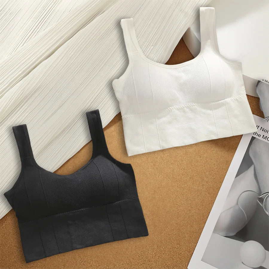 Áo Bra Thể Thao Nữ Chống Mồ Hôi, Đệm, Không Đường May - Daisan Mart