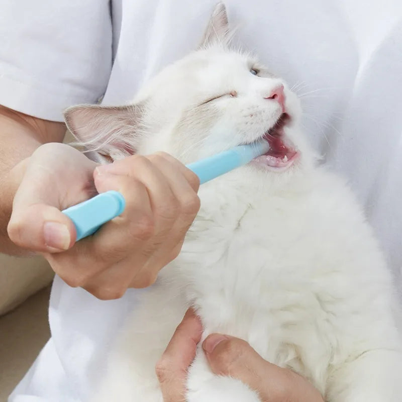 Pet Medicine Feeder Cats Dogs Portable Novel Shape Simple Feeding Insect Repellent Tablets Easy Use Pet Medicine Feeder Used - Daisan Mart