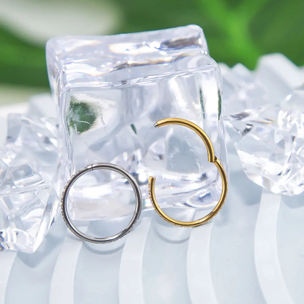 Bộ Trang Sức Titan Cao Cấp - Hoa Tai & Nhẫn Mũi