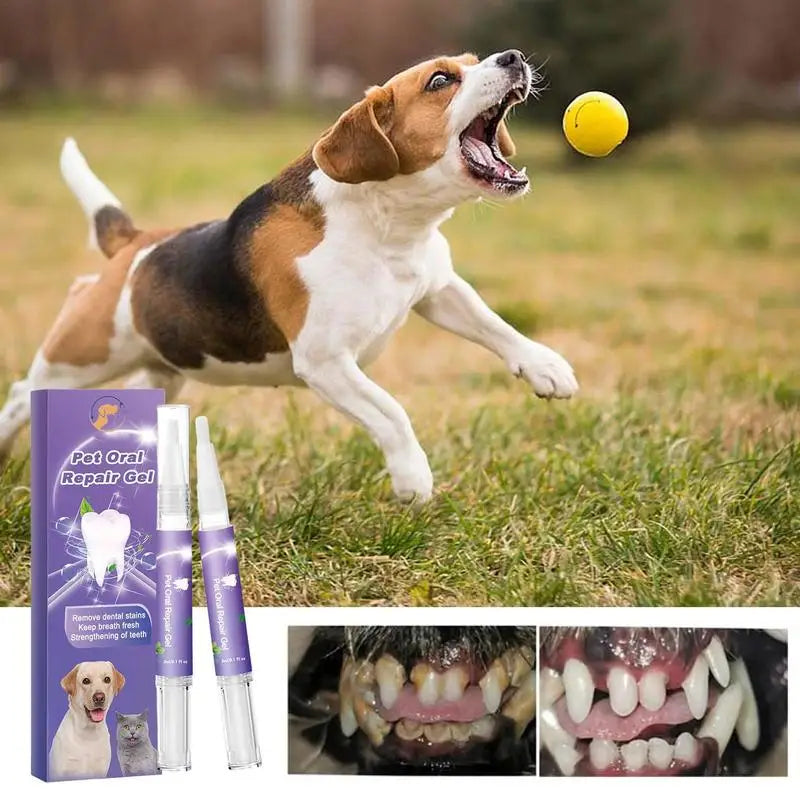 Pet Oral Repair Gel Dog Cat Teeth Cleaning Pen Natural Dog Toothpaste Gel Pet Breath Freshener Eliminate Bad Breath Oral Care - Daisan Mart