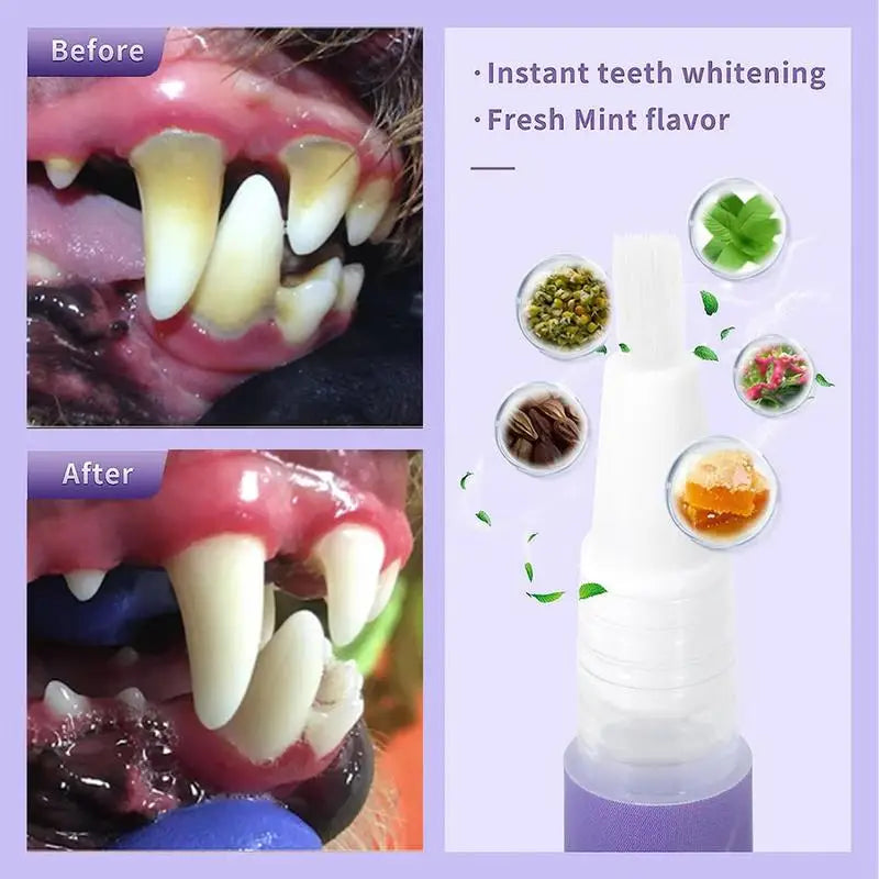 Pet Oral Repair Gel Dog Cat Teeth Cleaning Pen Natural Dog Toothpaste Gel Pet Breath Freshener Eliminate Bad Breath Oral Care - Daisan Mart
