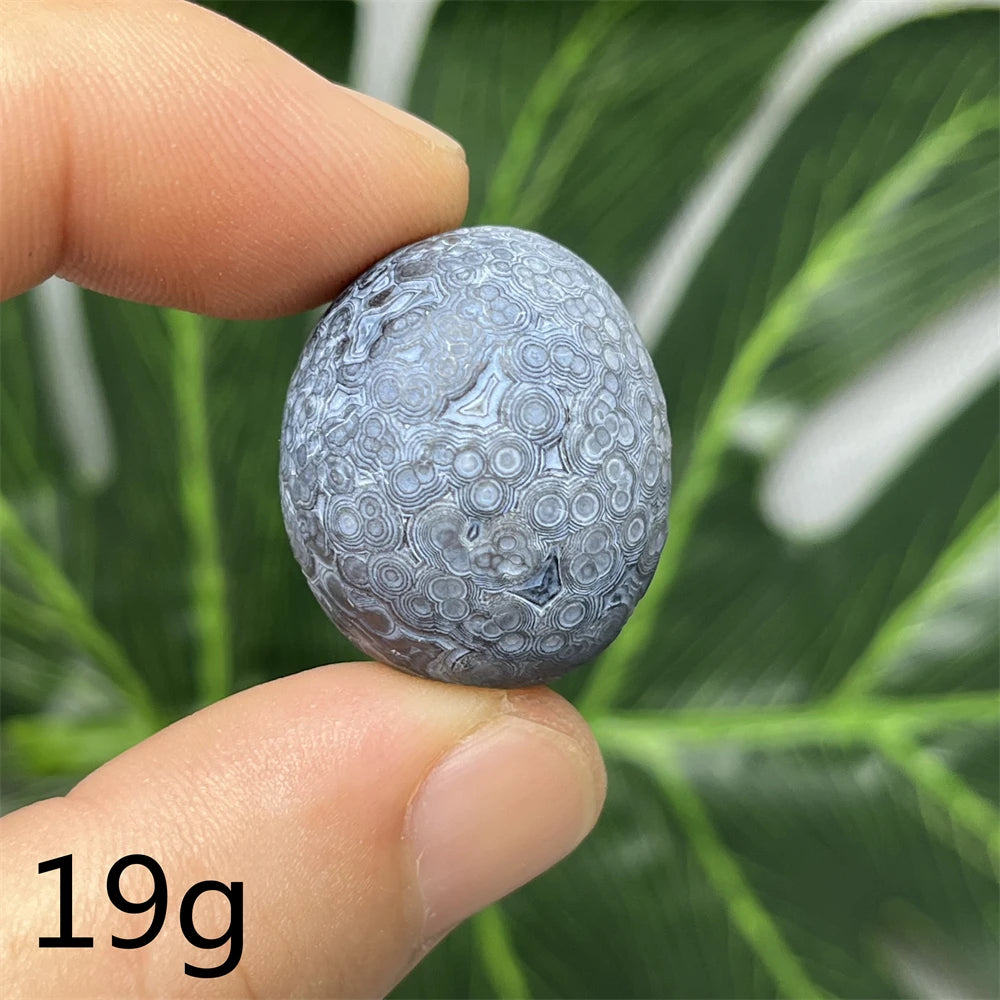 Natural Meteorite Stone for Energy Room Decoration