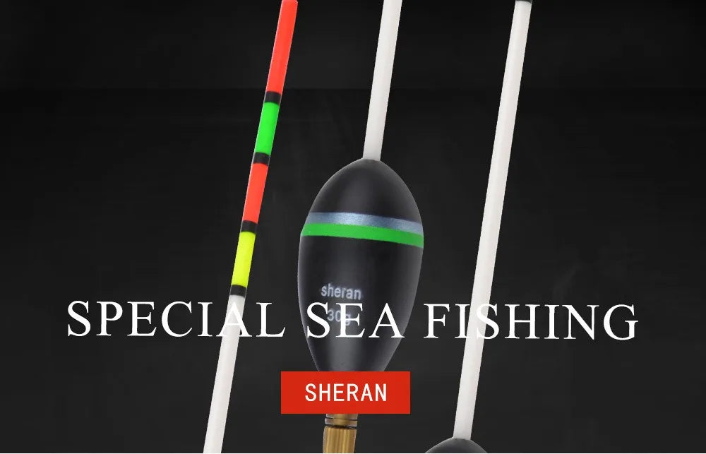 Bộ 2 Phao Câu Cá Siêu Tinh Xảo Cho Hồ Sông 2025