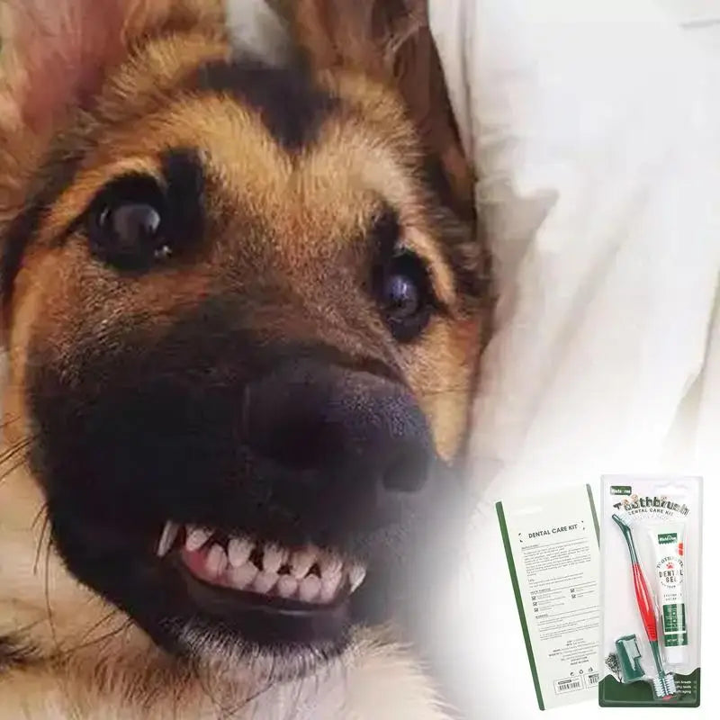 Oral Hygiene Kit Deodorizer for Dogs and Cats