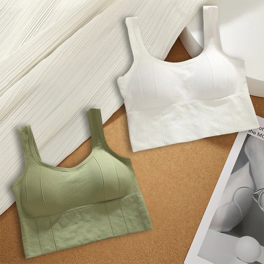 Áo Bra Thể Thao Nữ Chống Mồ Hôi, Đệm, Không Đường May - Daisan Mart