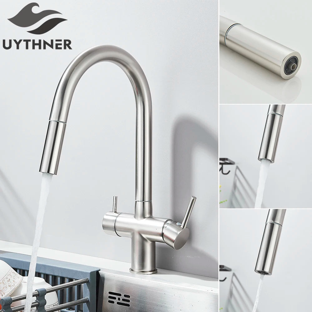 2-Mode Swivel Gold Brass Water Filter Kitchen Faucet