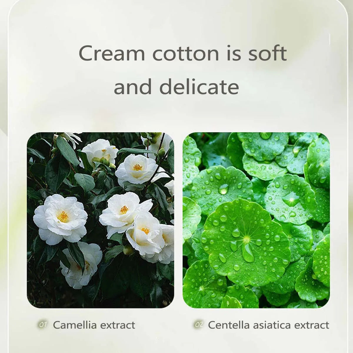 Gentle Camellia Soothing Cleanser Moisturizing, Nourishing, Oil Controlling, Refreshing And Cleansing