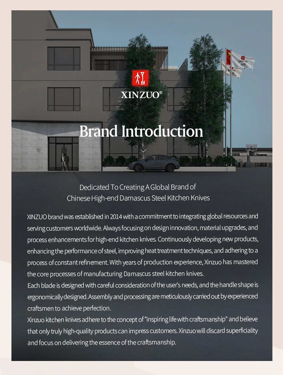 XINZUO 8.5 Kitchen Knife - 110 Layer Damascus Steel