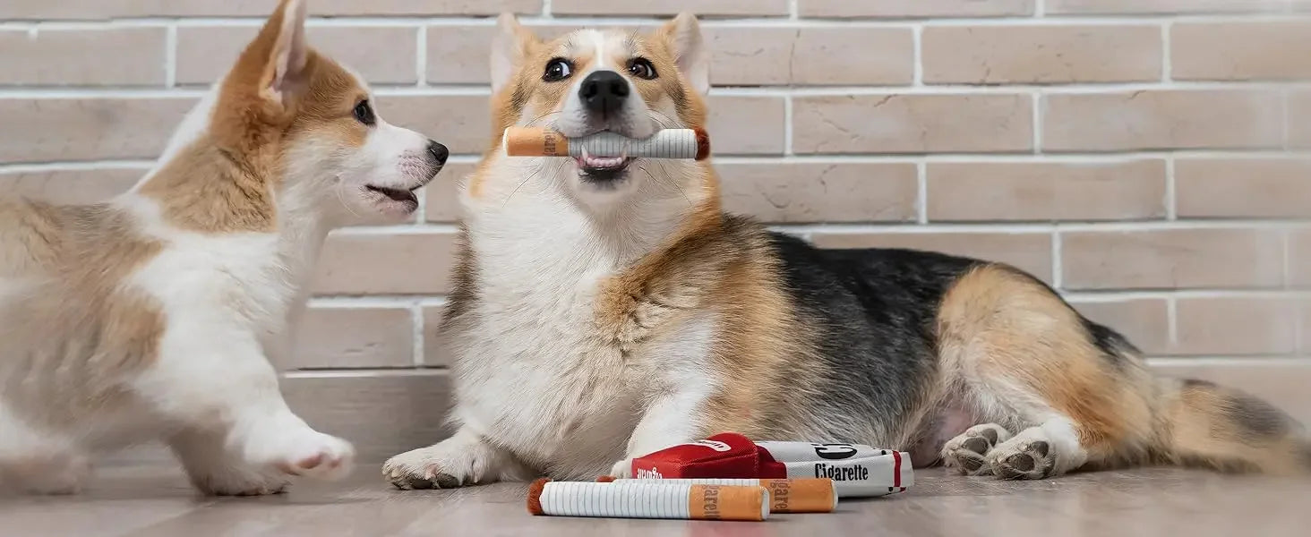 Đồ Chơi Chó Lớn Siêu Bền - Huấn Luyện & Gặm Nhai