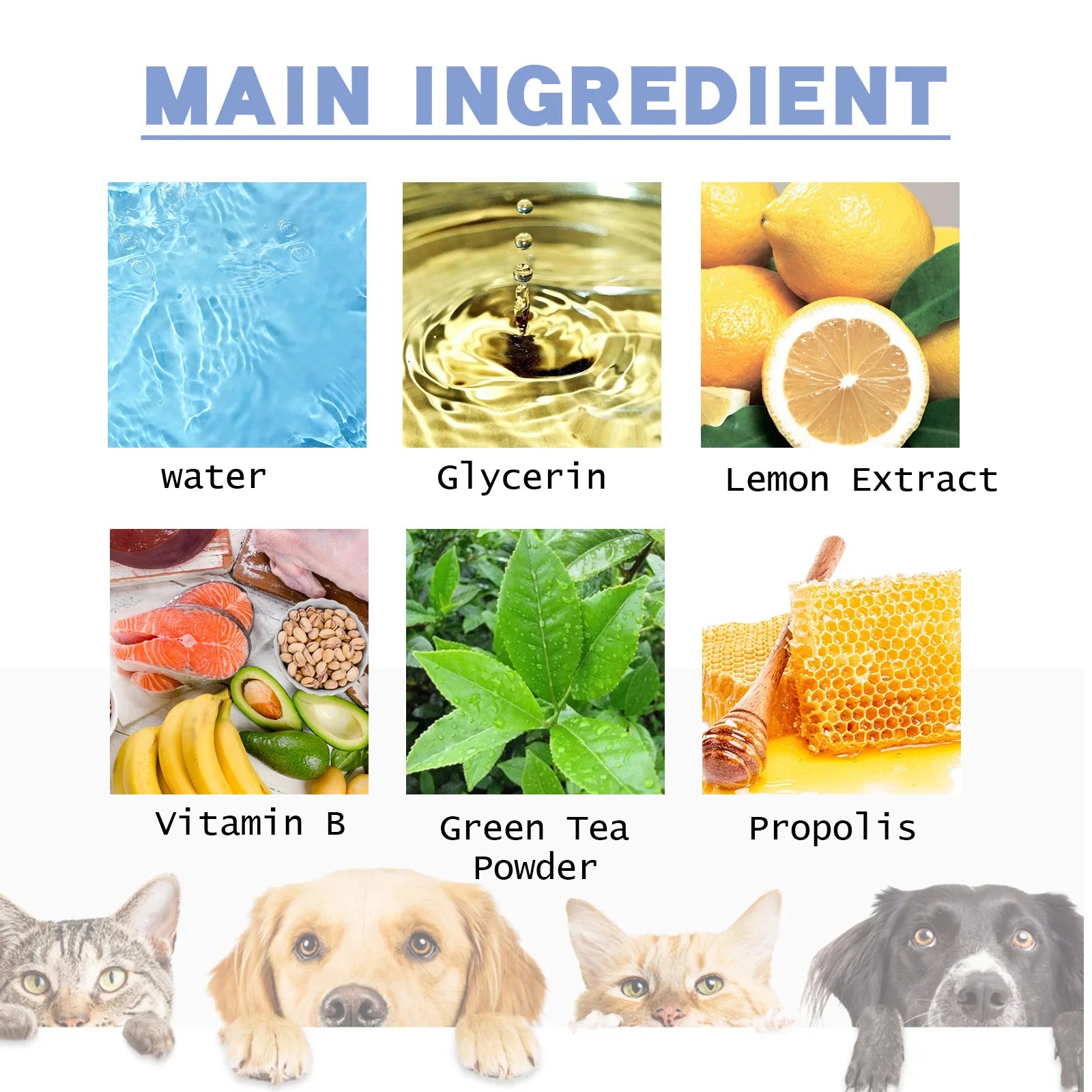 Pet Cleaning Toothpaste Cleaning tartar, stain repair, teeth whitening, cat and dog oral care - Daisan Mart